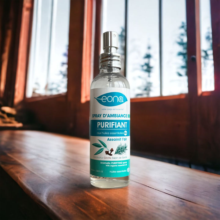spray_purifiant_contexte_maison